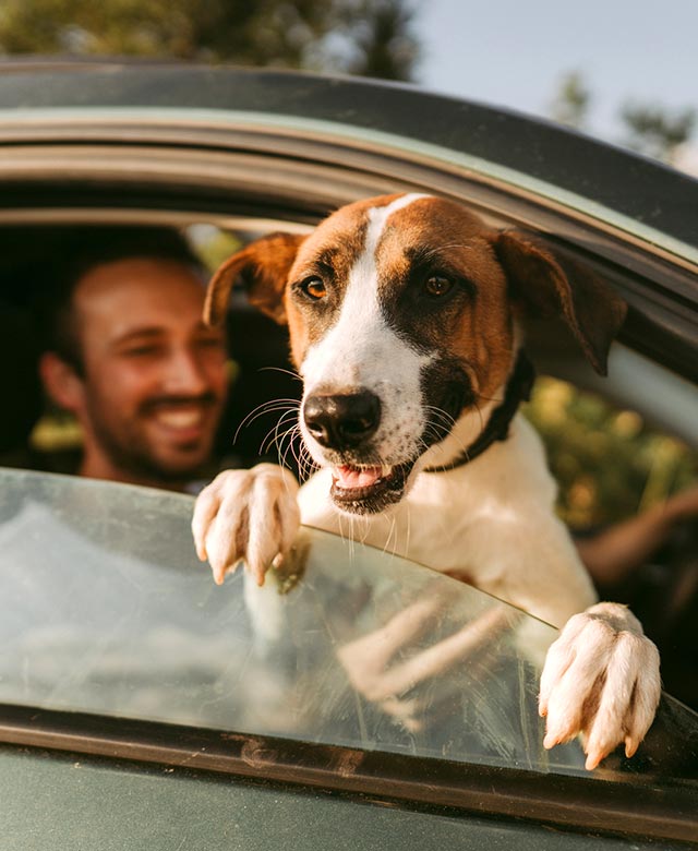 Man and dog in car.